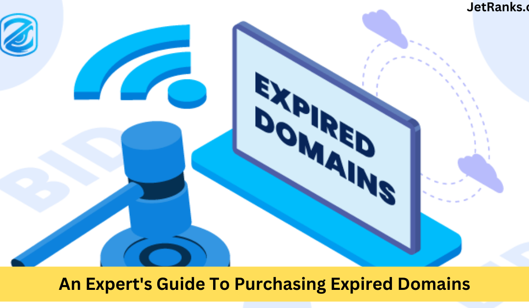 Purchasing Expired Domains
